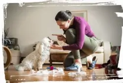 lady scolding while waving finger at dog