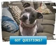 got questions?